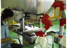 製造未経験者歓迎の作業風景
