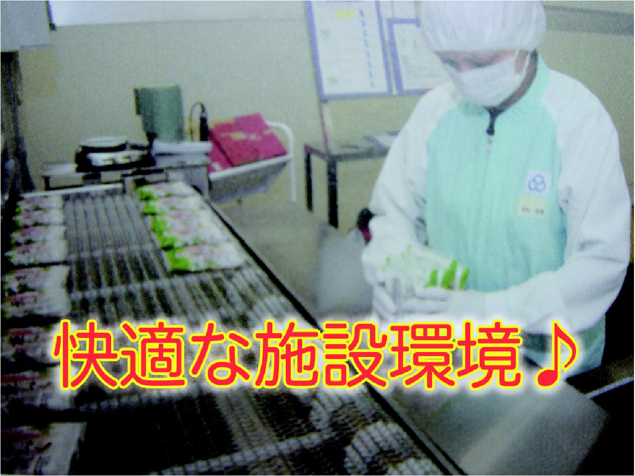 日勤専属で稼ぐ!食品の製造補助・包装・梱包
