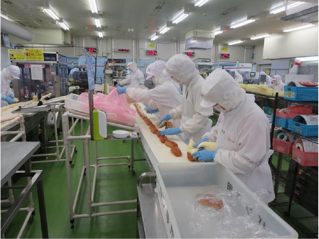 夜勤専属!未経験者歓迎の短期求人♪コンビニ食品の盛り付け(動画有り)