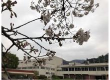 フォークリフトの作業風景