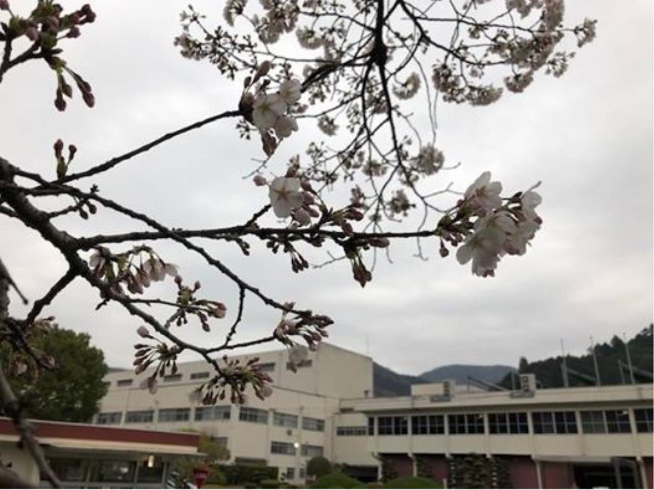 人事、総務企画管理