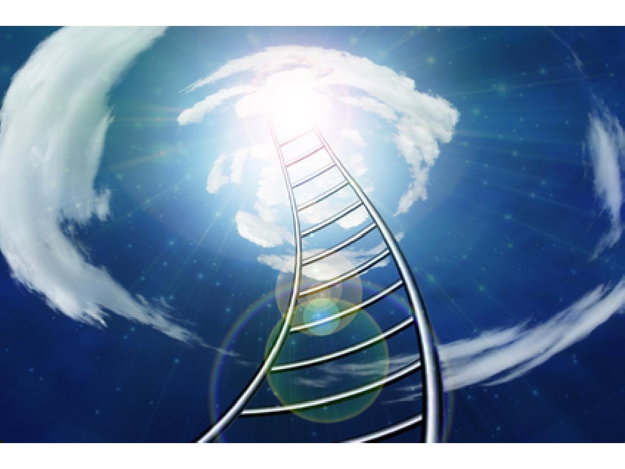 アルミ製品の仕上げや砂型のバラシ作業