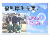 製造未経験者歓迎の作業風景