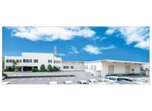 正社員・紹介予定派遣の作業風景