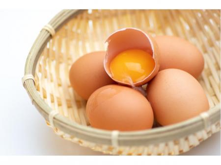大手食品メーカーで長く安心して働ける工場内作業スタッフ