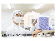製造未経験者歓迎の作業風景