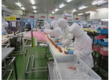 未経験者歓迎の作業風景