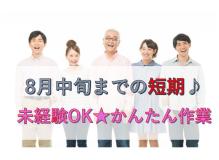 未経験者歓迎の作業風景