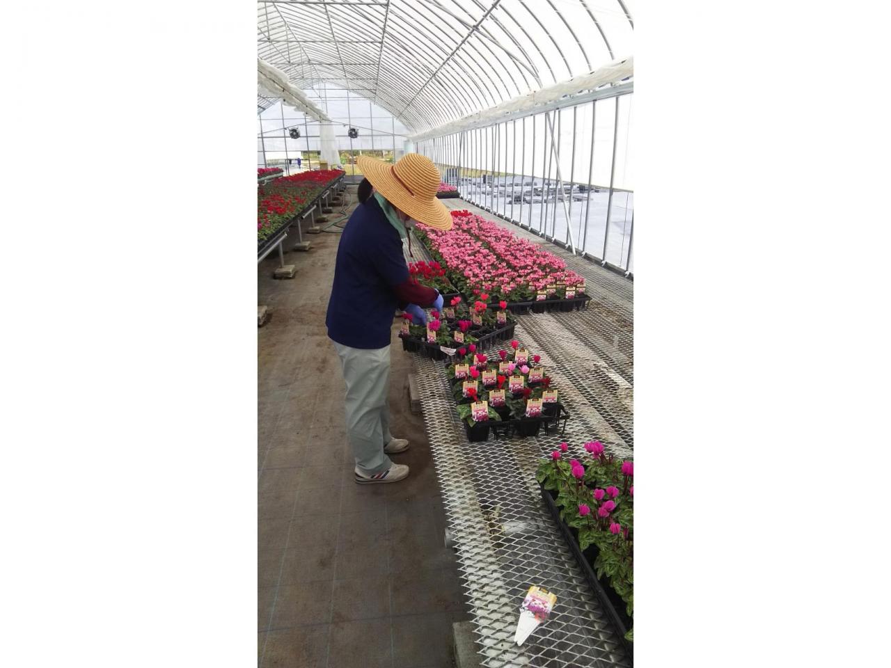 地域密着型ホームセンターでの園芸品栽培部門責任者候補 岡山市南区 玉野市エリアでサービス 販売系 作業 製造系の正社員のお仕事 求人情報詳細