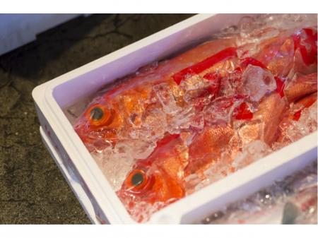 スーパー内で鮮魚の調理加工