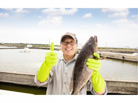 未経験でもＯＫ！近海魚の養殖、培養業務