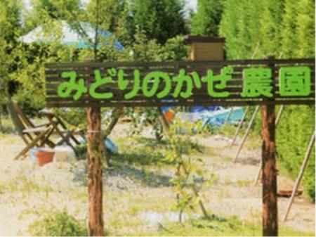 介護施設でのケアマネージャー
