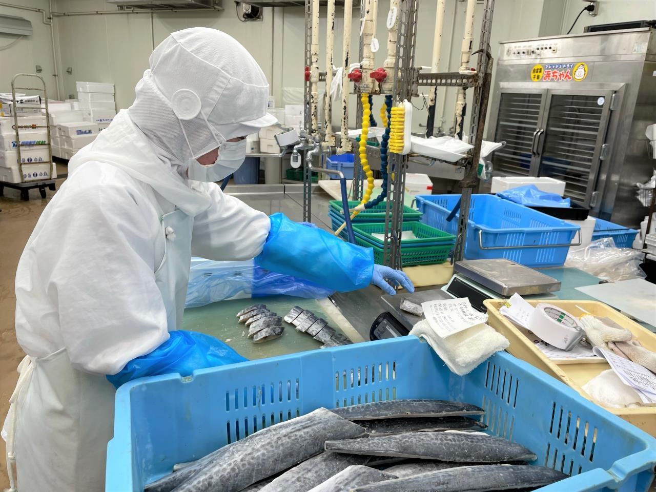 食品工場での鮮魚加工