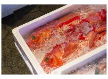 経験が活かせるスーパーマーケットの鮮魚部門