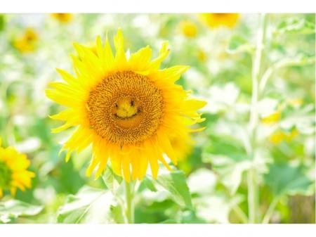 Ｂ型事業所でのサービス管理責任者
