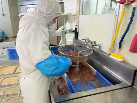 地元安定企業での鮮魚加工