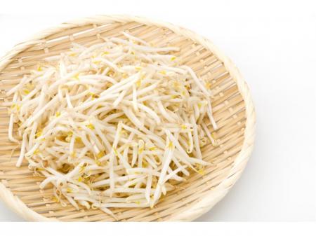 もやし工場でのピッキング作業