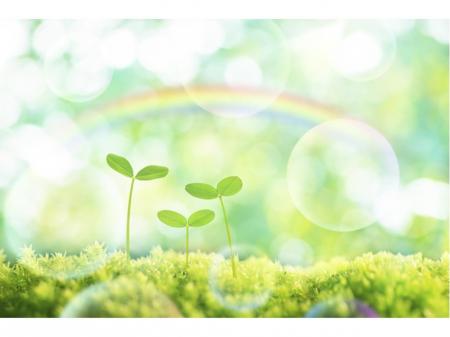 研究開発（農業用肥料）