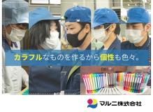 正社員・紹介予定派遣の作業風景