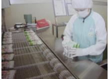 エアコン完備の作業風景