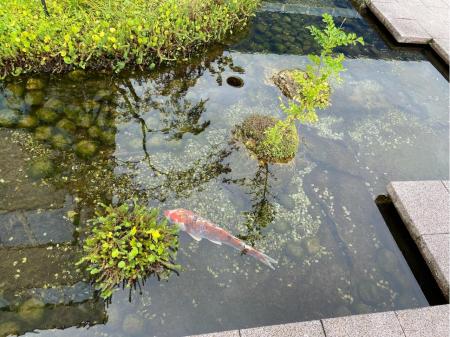 大手企業の倉敷本社で働こう！！社内ヘルプデスク職を募集