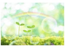 農業用肥料研究開発