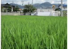 岡山県総社市・岡山県高梁市の作業風景