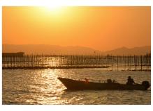 福山の作業風景