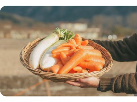 真庭の美味しい野菜の販路拡大営業｜土日祝完全休み｜時間帯の相談可能