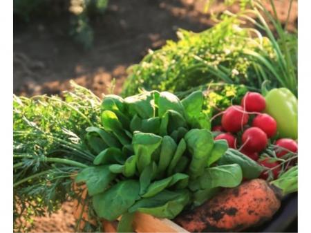 食品メーカー工場での製造機械オペレーター