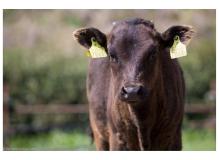 作業・製造系の作業風景