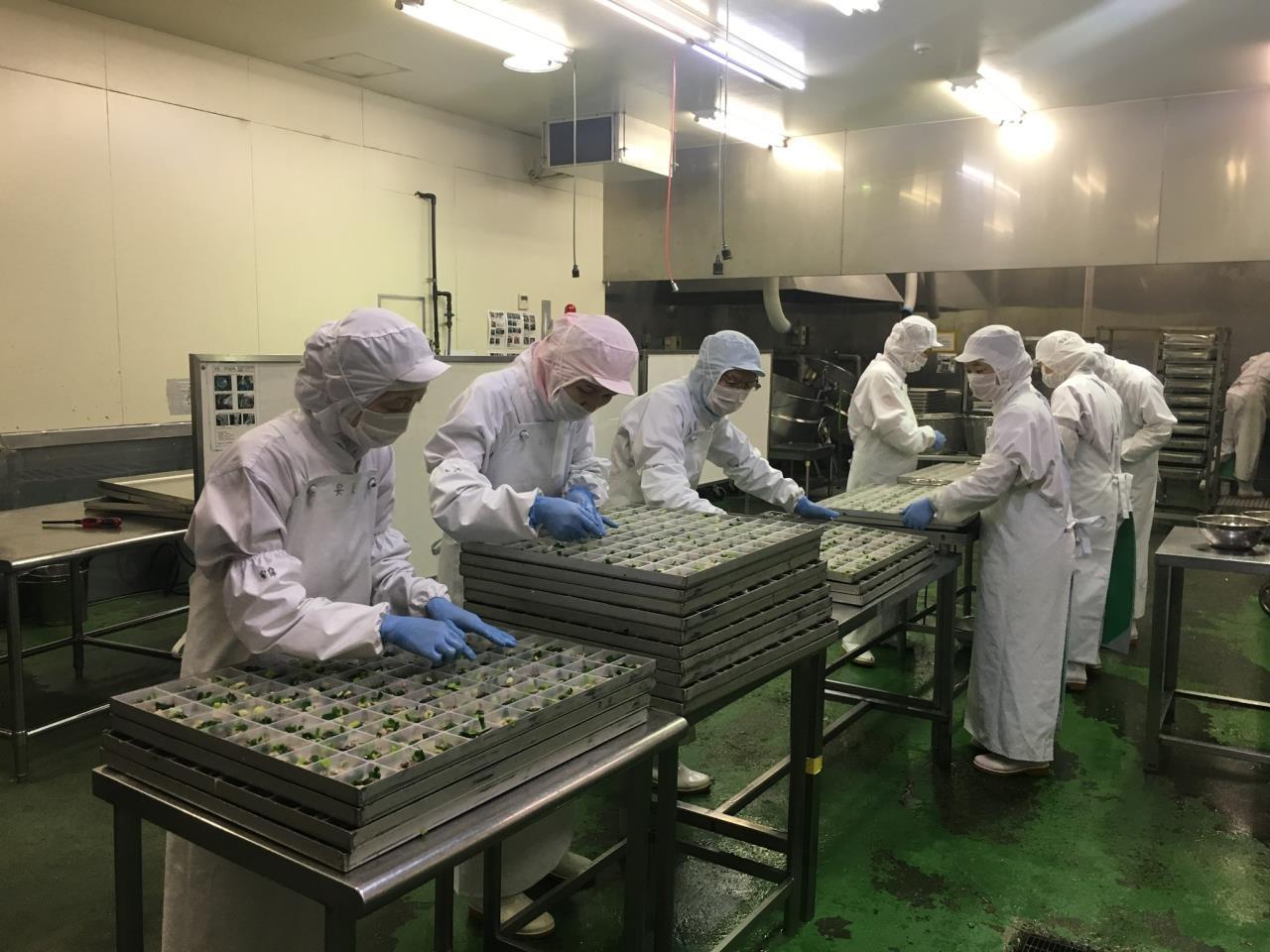 主婦応援求人!①とっても簡単!野菜の盛り付け・袋詰め・選別 ②オフィスワークデビュー歓迎のサポート事務
