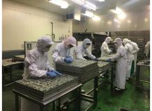 事務未経験者歓迎の作業風景