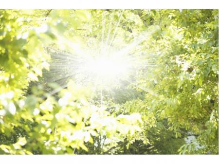 山林の伐採現場の開拓営業