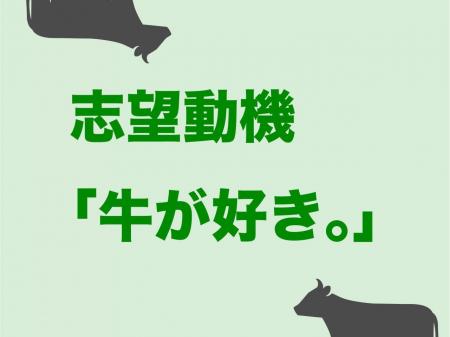 ジャパンブランド和牛を支える飼料メーカーでの製造スタッフ